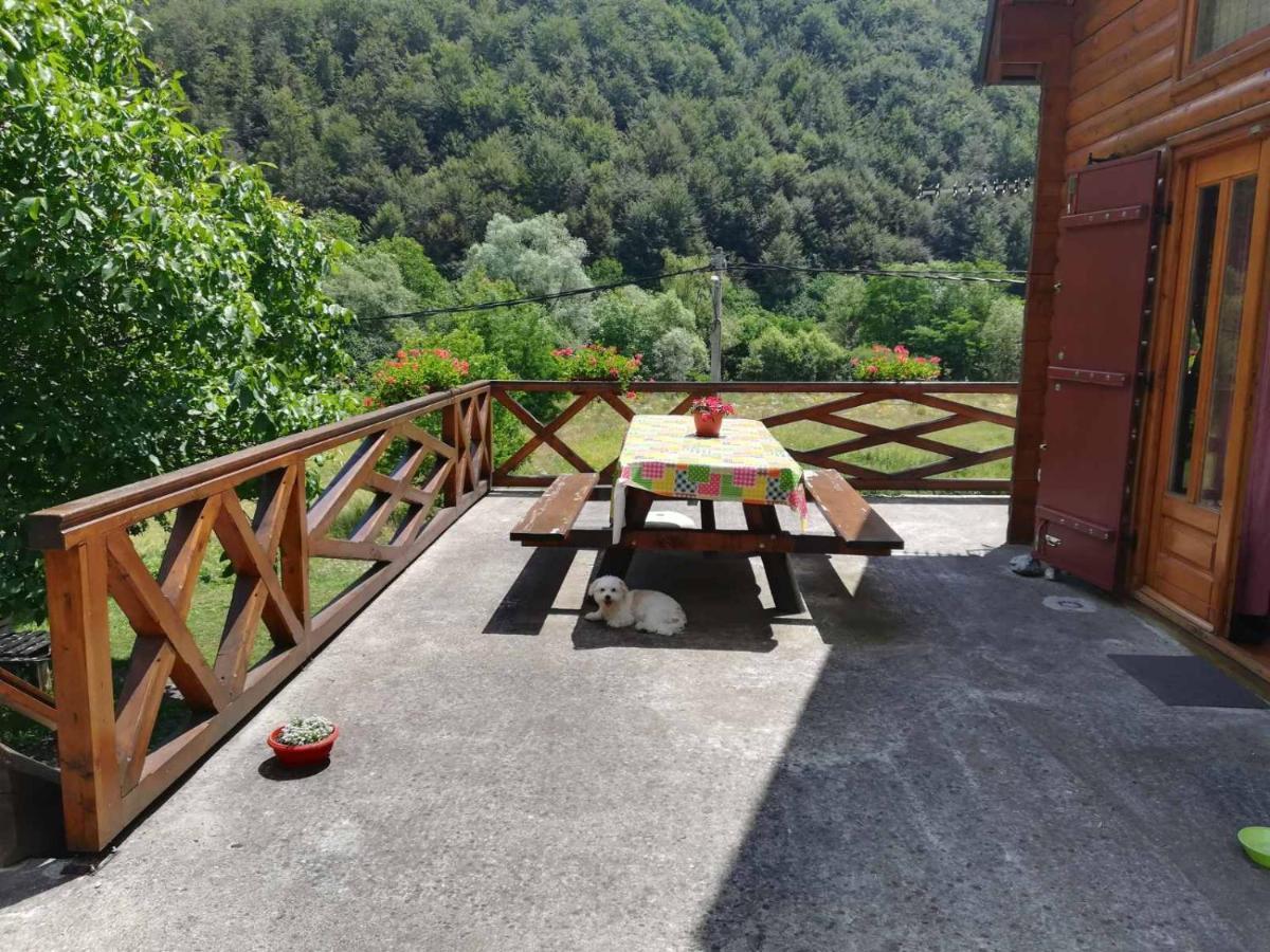 Vila Jelena Crni Vrh Esterno foto