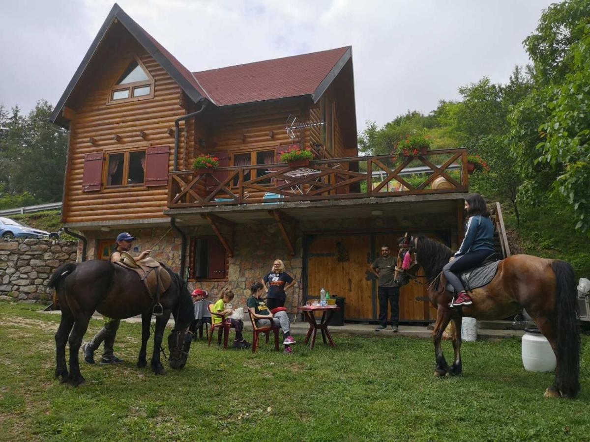 Vila Jelena Crni Vrh Esterno foto