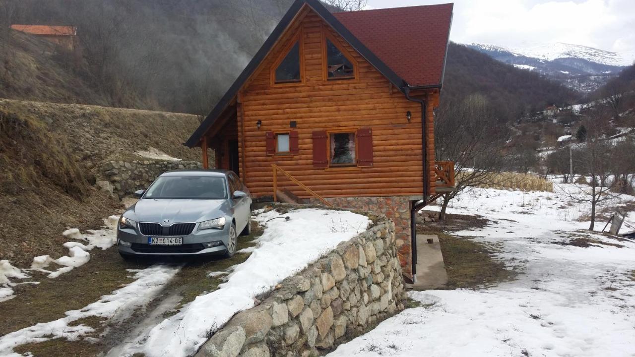 Vila Jelena Crni Vrh Esterno foto