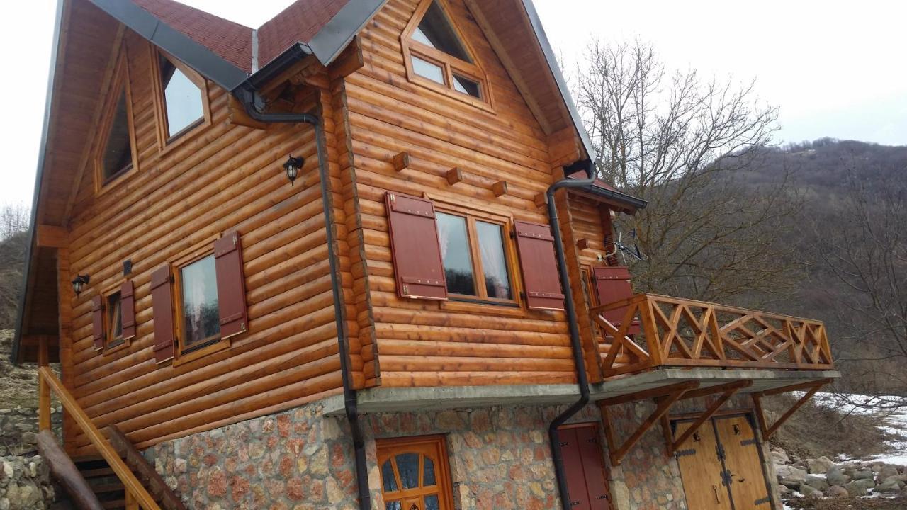 Vila Jelena Crni Vrh Esterno foto