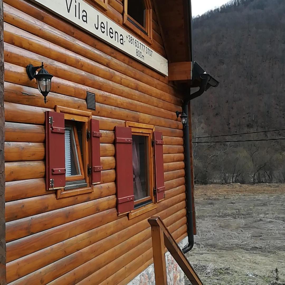 Vila Jelena Crni Vrh Esterno foto
