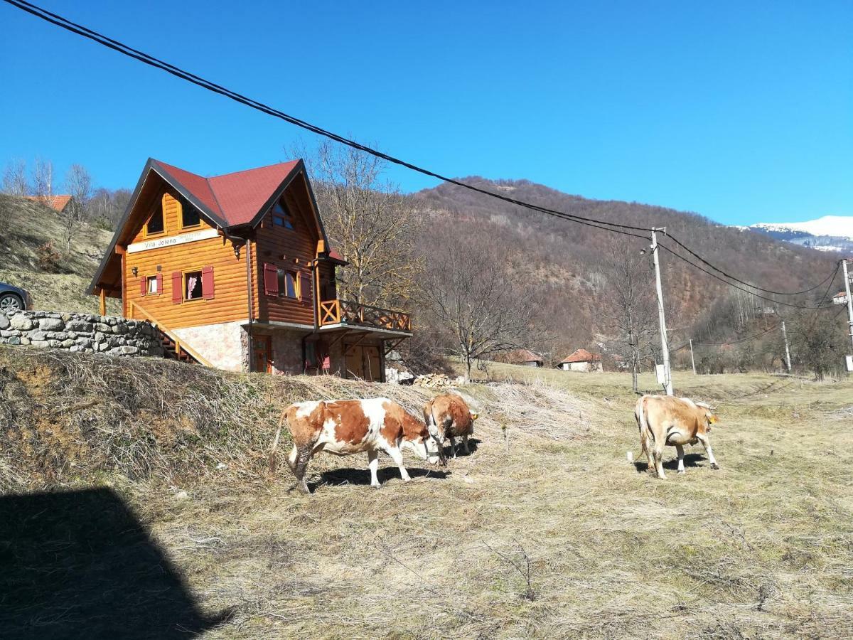 Vila Jelena Crni Vrh Esterno foto